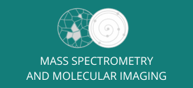 Imagen Molecular y Espectometria de Masas