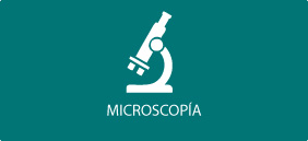 Microscopía